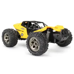 RCTBOX 1/12 2.4G 2WD - haute vitesse 25km/h - voiture RC - buggy désert