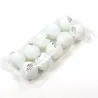40mm professionelle Tischtennisbälle 10 Stück
