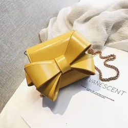 Piccola borsa elegante con prua e catena