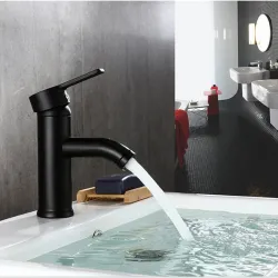 Black stainless steel basin faucet