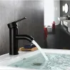 Black stainless steel basin faucet