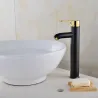 Black stainless steel basin faucet