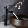 Black stainless steel basin faucet