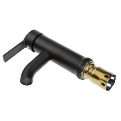 Black stainless steel basin faucet