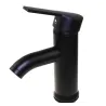 Black stainless steel basin faucet