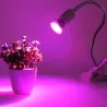 6W - E27 E14 GU10 - LED grow light - hydroponic