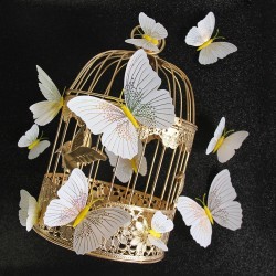 borboleta 3D - adesivo de parede com ímã 12 peças