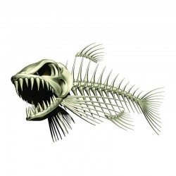3D Fisch Skelett - Auto & Motorrad Aufkleber 13 * 85cm