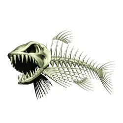 3D-kala luuranko - auto- ja moottoripyörätarra 13 * 85 cm