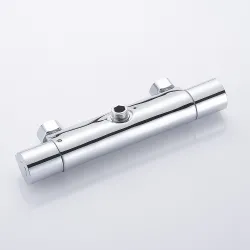 Bathroom shower faucet - thermostatic mixed valve