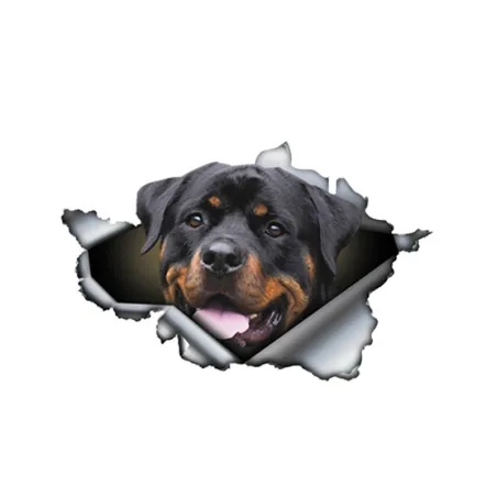 3D Rottweiler - Vinyl Autoaufkleber - 13 * 8,4cm