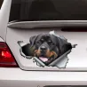 3D Rottweiler - vinyyliauto tarra - 13 * 8,4 cm