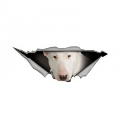 Branco Bull Terrier - adesivo de carro de vinil - à prova d'água - 13 * 4.9cm