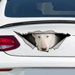 PegatinasWhite Bull Terrier - pegatina de vinilo - impermeable - 13 * 4.9cm