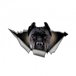 Musta koira - vinyyliauto tarra Vedenpitävä 13 * 7,6 cm