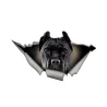 Svart hund - vinyl bil klistermärke vattentät 13 * 7,6 cm