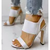 High heel sandals - pumps with ankle buckle & elastic rubberSandals