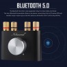 Mini Bluetooth 5.0 digital amplifier - 50W + 50W
