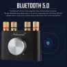 Mini Bluetooth 5.0 digitale versterker - 50W + 50WVersterkers