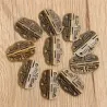 Antiikin ovipaita piikittelee 10 kappaletta