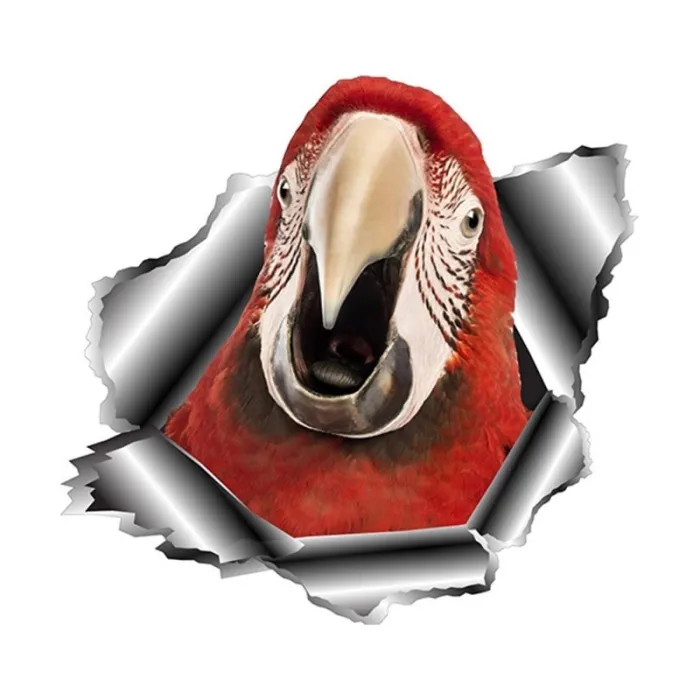 3D papukaija - vinyyliauto tarra 13 * 12,5 cm