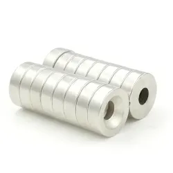 N35 neodymium magnet - stark ring 12 * 4 * 4mm 2 bitar