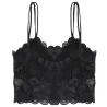 Sexy Padded Bra - Lace