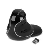 M618 Plus ergonomic vertical wireless mouse with removable palm rest