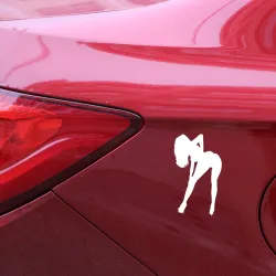 Sexy ragazza - adesivo in vinile auto 9 * 15 cm