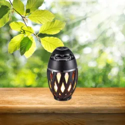 Wireless Bluetooth touch speaker with Led flickers lights