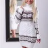 Vinter lång tröja - miniklänning med turtleneck