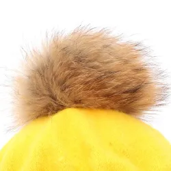 Elegantti olut fur pom-pom