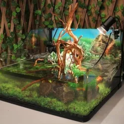 Natural tree trunk driftwood - aquarium & fish tank plant - wooden decoration