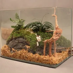 AcuarioNatural árbol tronco madera de deriva - acuario & planta de tanque de pescado - decoración de madera