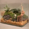 Natural tree trunk driftwood - aquarium & fish tank plant - wooden decoration