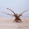 Bois d'arbre naturel - aquarium & usine de réservoir de poisson - décoration en bois