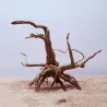 Bois d'arbre naturel - aquarium & usine de réservoir de poisson - décoration en bois
