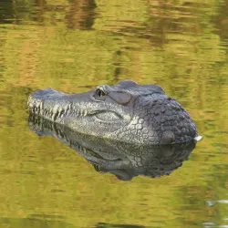 Flytec V005 2.4G - barco elétrico RC com cabeça de crocodilo - brinquedo RTR