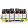 10 ml * 6 - Eteeriset öljyt kostutin - laventeli - teepuu - sitruuna - rosmariininen - appelsiini - piparminttu
