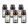 10 ml * 6 - Eteeriset öljyt kostutin - laventeli - teepuu - sitruuna - rosmariininen - appelsiini - piparminttu